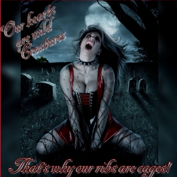 Welcome to my 2nd closet, You will find there's No Judgements or Negativity here - Picture 4 of 17